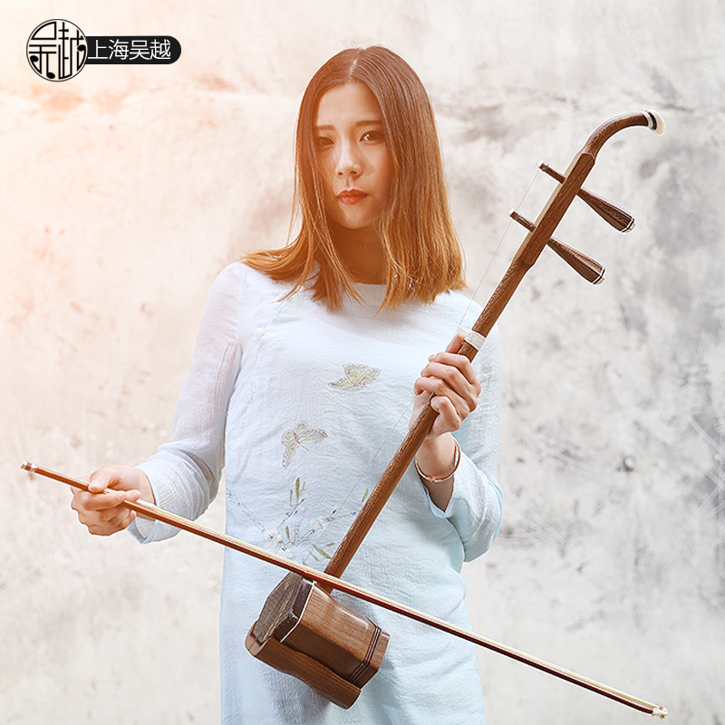 Musical Instrument Book - Китайский народный струнный инструмент, гуцин с