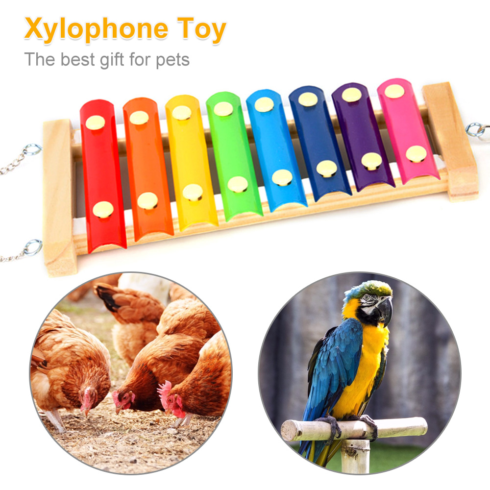 Игрушка-ксилофон с птичьей кур – обзор и цена Musical Instrument Harmonium