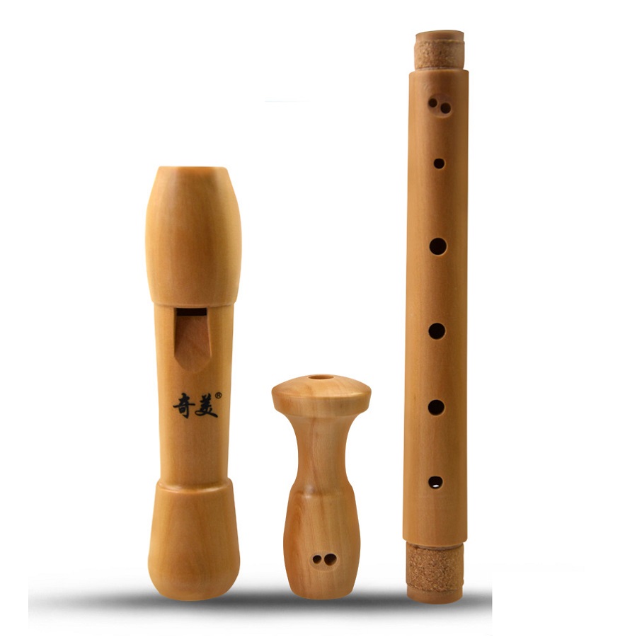 Qimei 8-луночный альт-рекордер – обзор и цена Musical Instrument Theremin