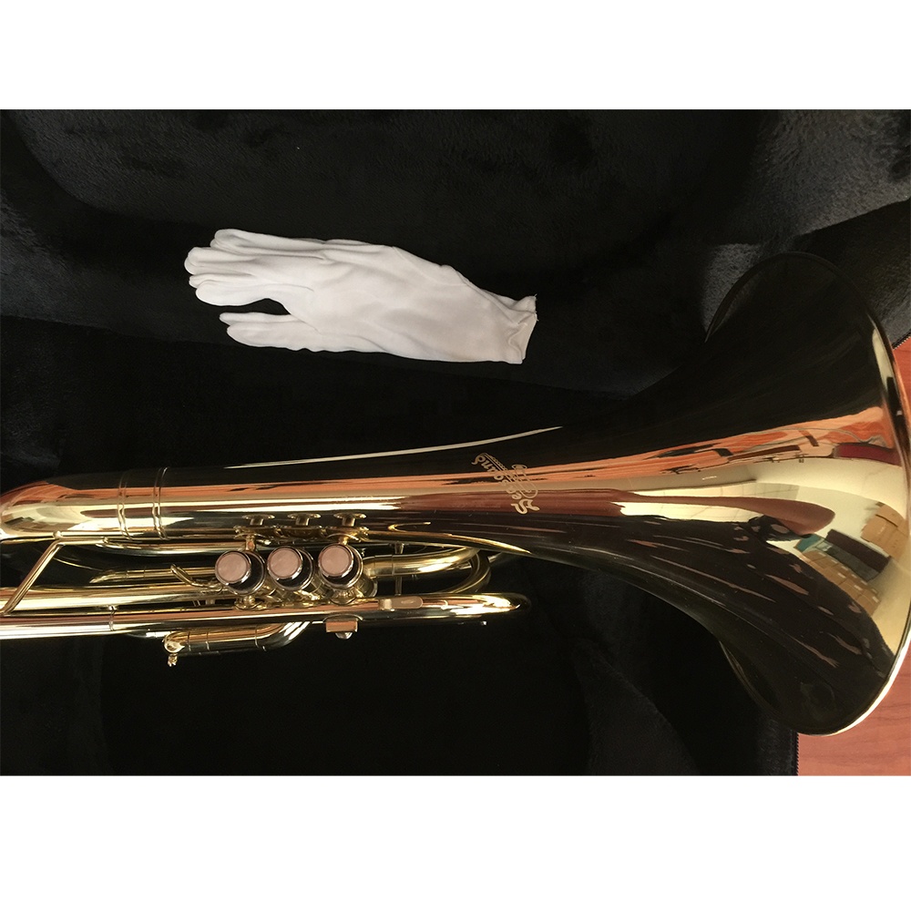 Баритон с золотым лаковым покр – обзор и цена Musical Instrument Horn
