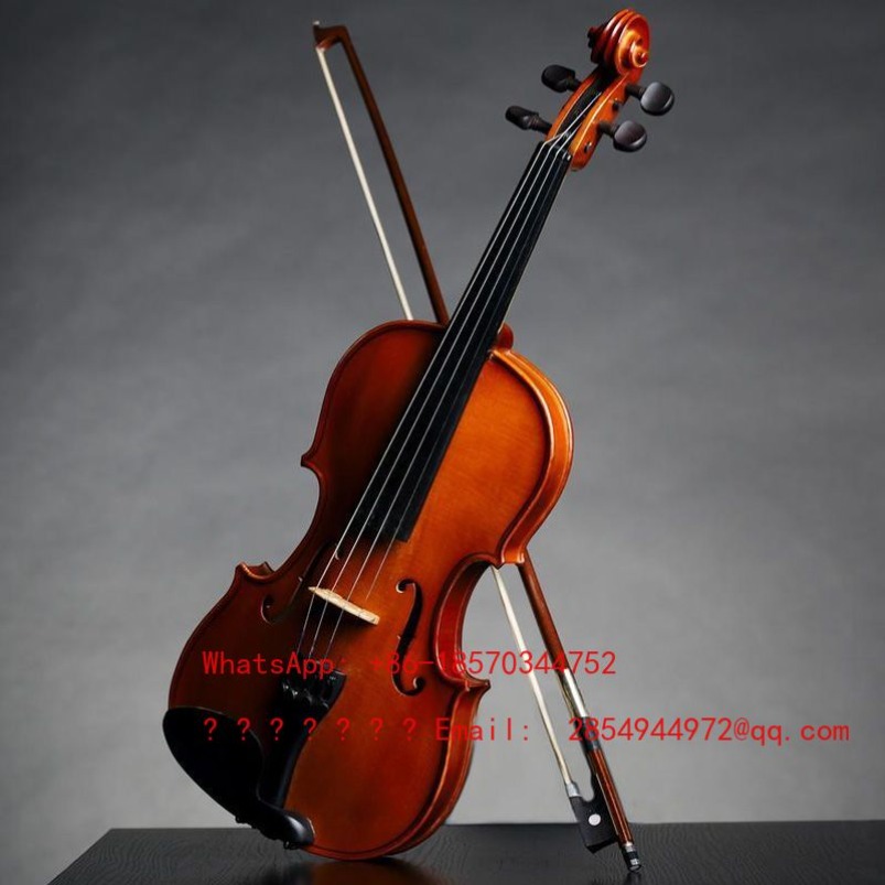 Профессиональная скрипка для в – обзор и цена Musical Instrument Net