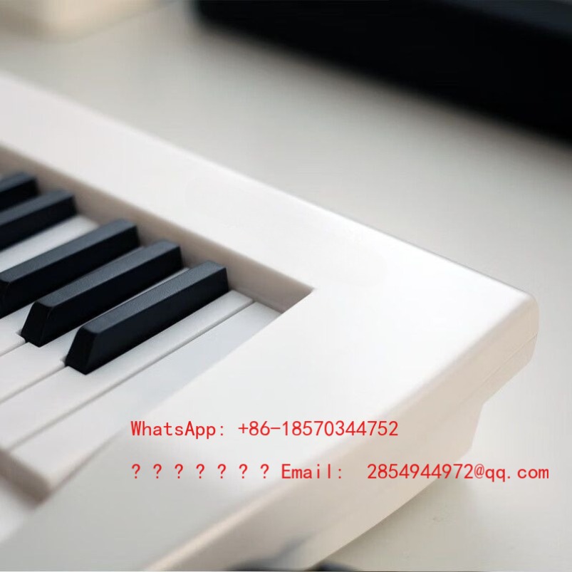 Электронный орган для пожилых  – обзор и цена Musical Instrument Net